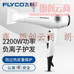 飞科 FLYCO发廊专业电吹风机FH6106大功率吹风筒负离子 2200W